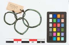 Foto von Bronzering (NHMW-PRAE-026337)